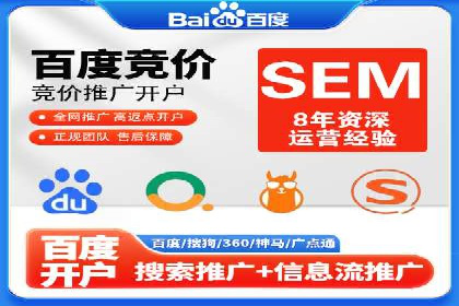 网络推广与竞价广告：双管齐下的策略案例